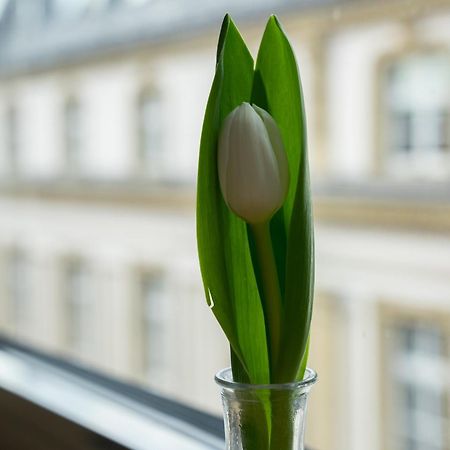Hotel Sankt Andreas Düsseldorf Exteriér fotografie